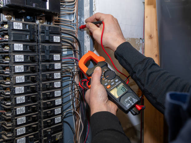 Best Ceiling Fan Installation Electrician  in La Vista, NE