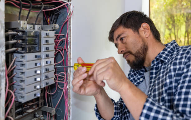 Best Electrician for Home Renovation  in La Vista, NE